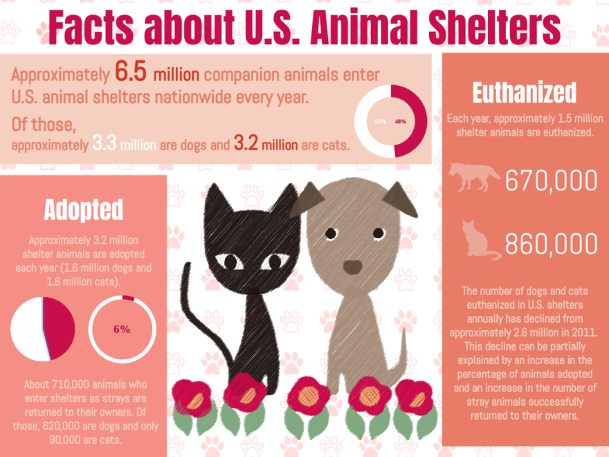 Crafting Impactful Infographics: Five Essential Design Principles