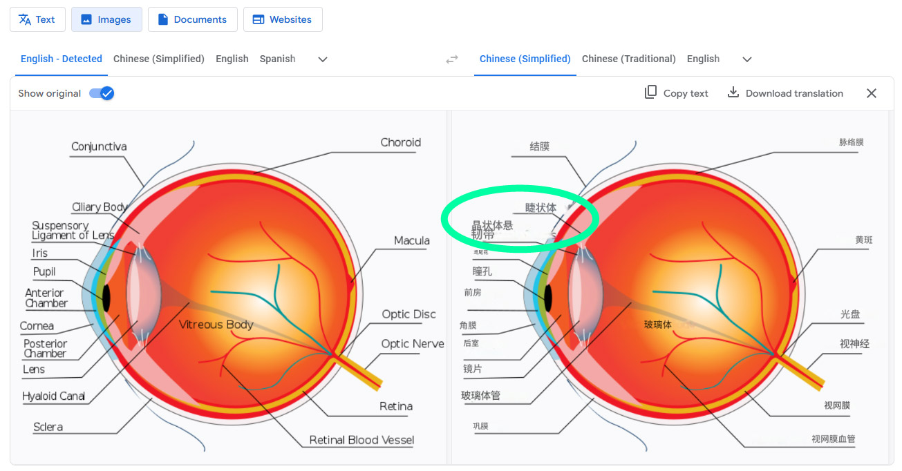 The Growing Need for Specialized Image Translation