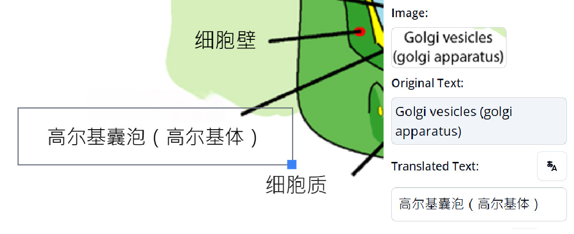 Translate text in image without losing quality