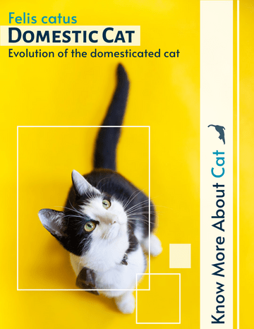 Modelo de livreto: Livreto Evolution Of The Domesticated Cat (Criado pelo marcador da InfoART)