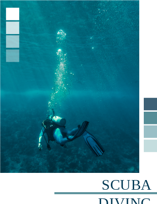 Online flipbook: Scuba Diving