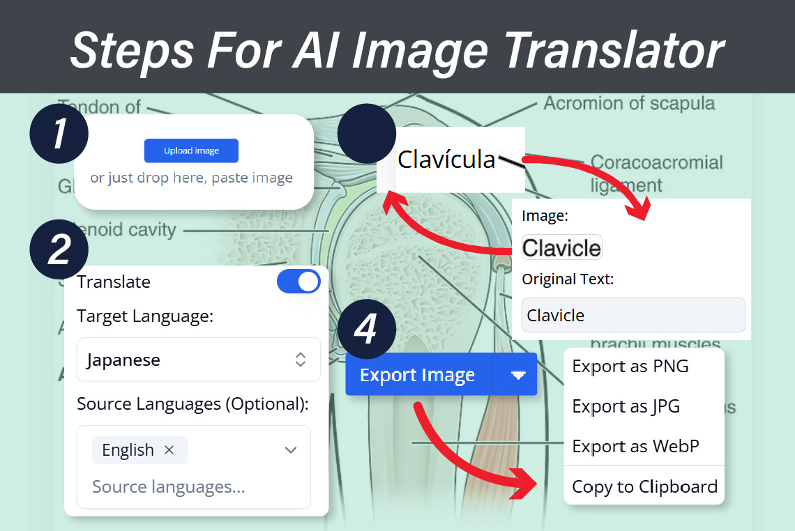 steps for ai image translator